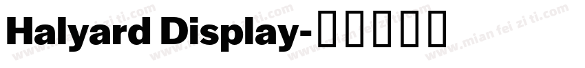 Halyard Display字体转换
